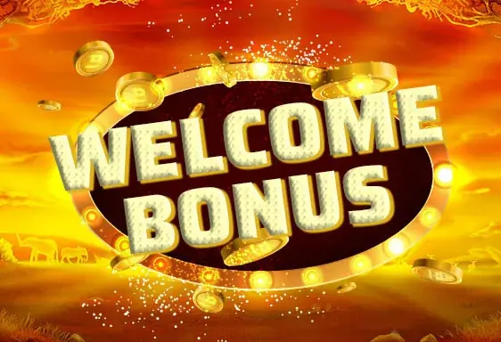Wildz Neukundenbonus